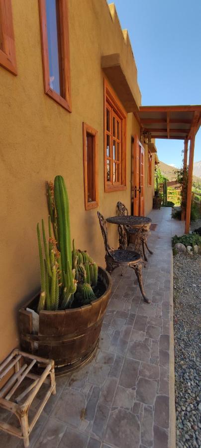 Casa Jardin De Hadas Con Vista Panoramica Pisco Elqui Bagian luar foto